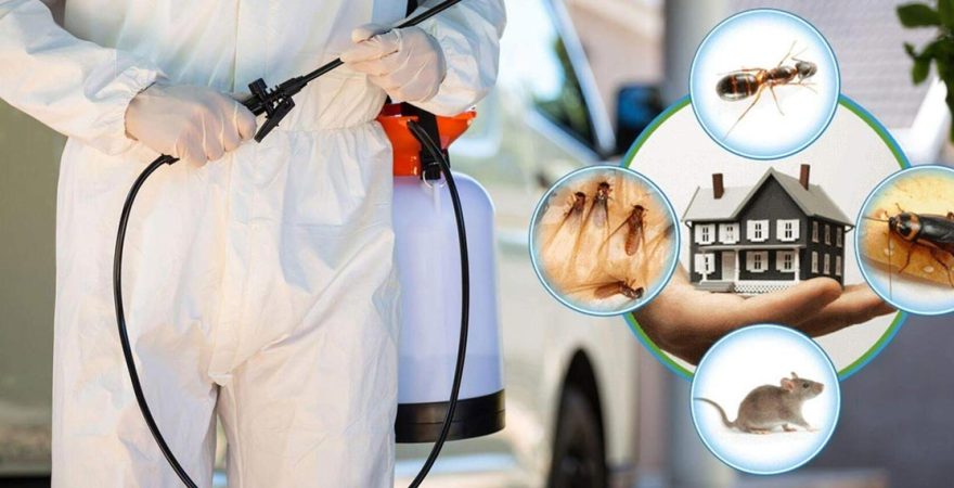 Haliliye Böcek İlaçlama