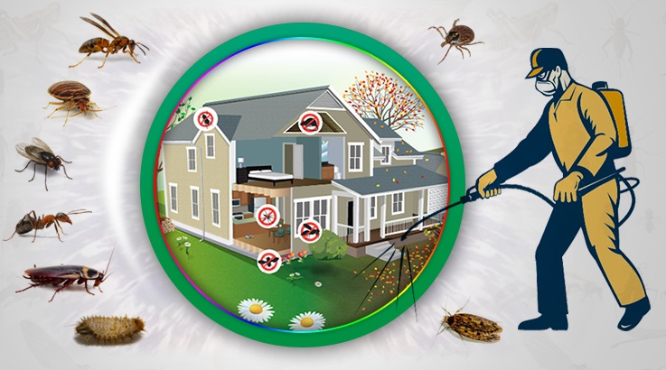 Haliliye Böcek İlaçlama