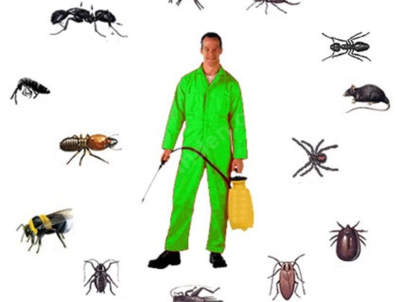 Haliliye Böcek İlaçlama